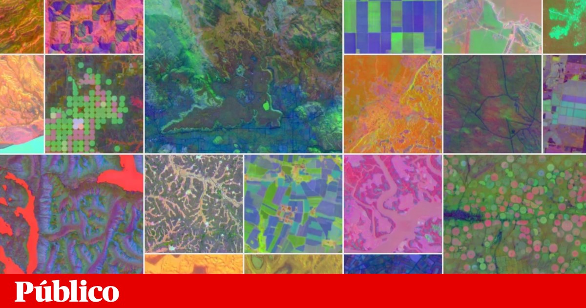 Google AlphaEarth: o novo satélite virtual gerado por IA que vigia o planeta | Inteligência artificial