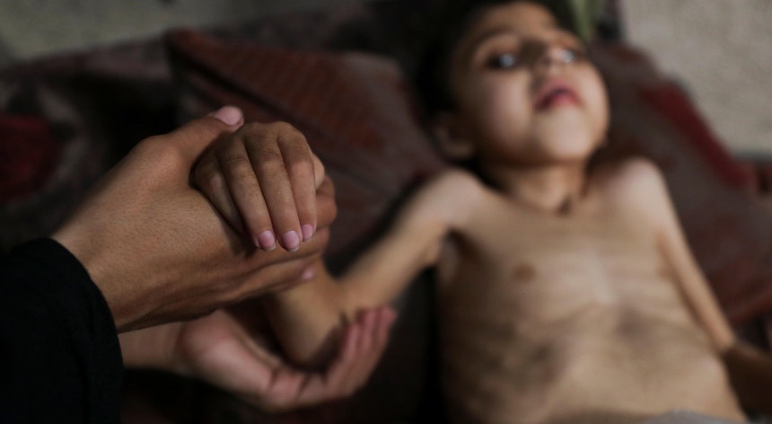 "Falsa alegação de fome deliberada". Israel anuncia pausa militar em três zonas de Gaza para fins humanitários