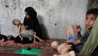 Fome em Gaza. Jorge Moreira da Silva acusa Israel de "falta deliberada de vontade política"