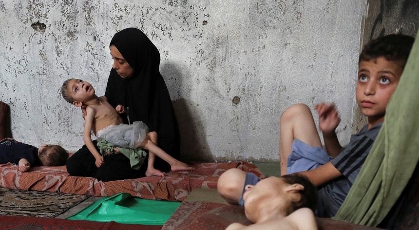 Fome em Gaza. Jorge Moreira da Silva acusa Israel de "falta deliberada de vontade política"