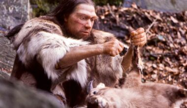 Uma teoria nojenta pode resolver um longo mistério sobre a dieta dos neandertais