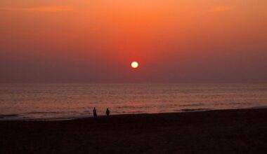 Temperaturas elevadas vão manter-se nos próximos dias - RTP