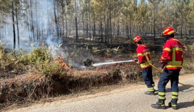 Incêndio em Arouca. Fogo em Alvarenga com quatro frentes ativas