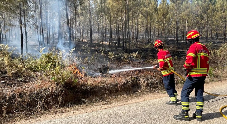 Incêndio em Arouca. Fogo em Alvarenga com quatro frentes ativas