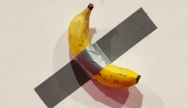 Banana avaliada em 5,3 milhões de euros está no Porto