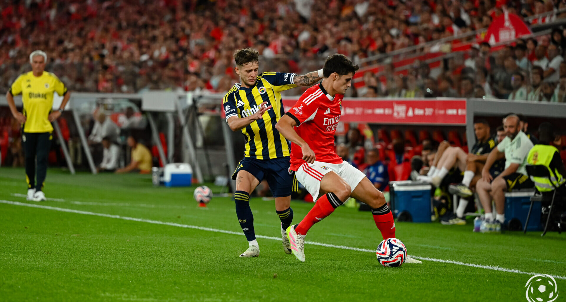 António Silva tem 2 tubarões europeus interessados e pode deixar o Benfica neste mercado