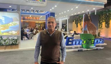 livro gratuito convida leitor a repensar usos e destinos da oleaginosa
