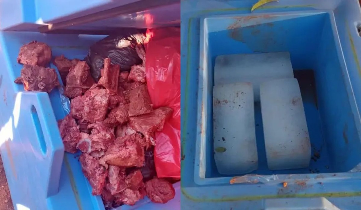 Dois trabalhadores trocam vacinas contra sarampo por carne e são presos na Bolívia
