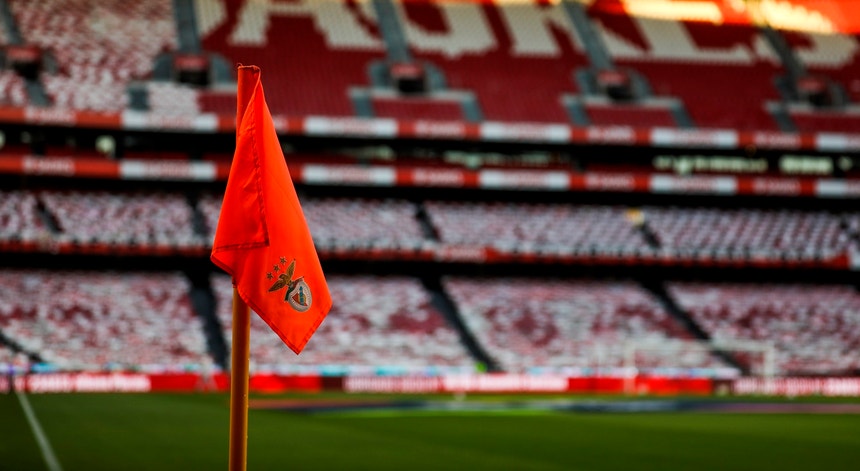 Estádio da Luz. TAD aceitou providência cautelar e suspende castigo de interdição - RTP