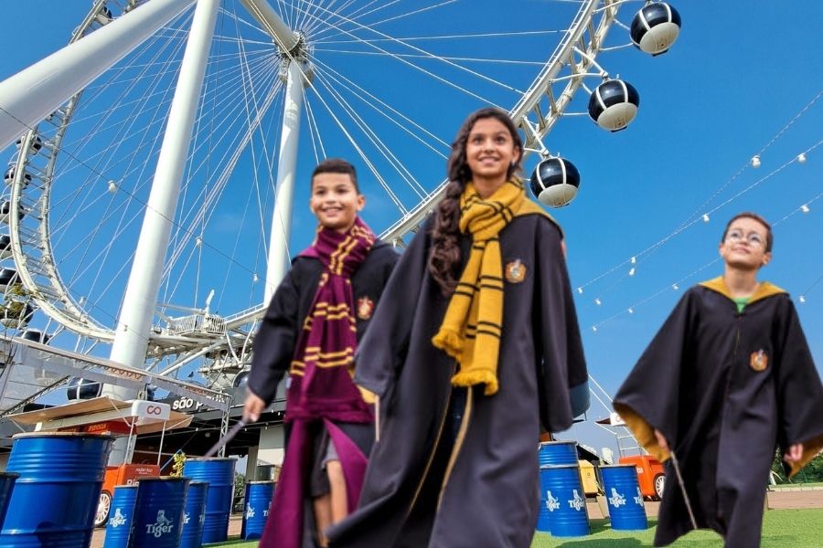 Roda Rico - Harry Potter