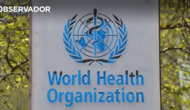 OMS pede esforços para combater hepatites virais – Observador