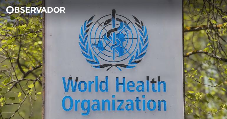 OMS pede esforços para combater hepatites virais – Observador