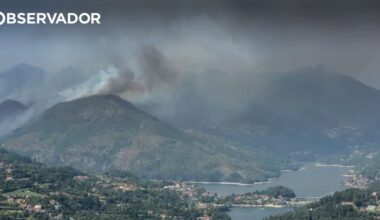 PJ detém alegado autor de 4 crimes de incêndio florestal – Observador