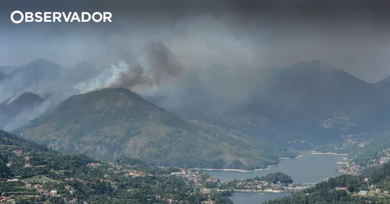 PJ detém alegado autor de 4 crimes de incêndio florestal – Observador