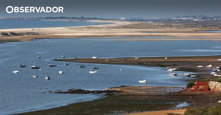 Cacelha Velha. Autoridades desaconselham atividade balnear – Observador