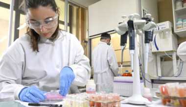 U.Porto tem 156 investigadores entre os melhores do mundo