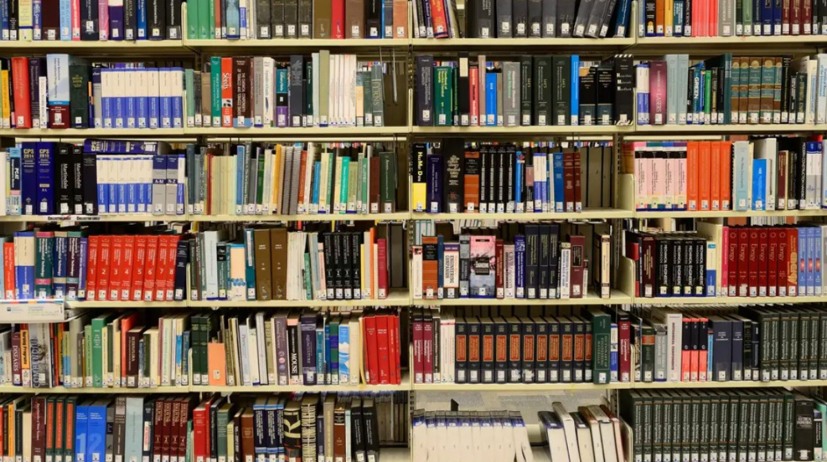 9 livros para entender economia sem enrolação