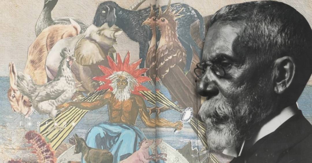 Machado de Assis amava os animais – e este livro é a prova disso