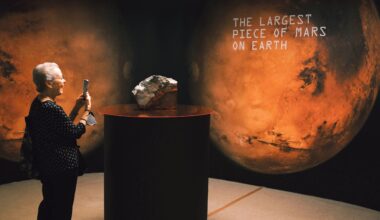 Um pedaço de Marte. Meteorito vendido por quase 5 milhões