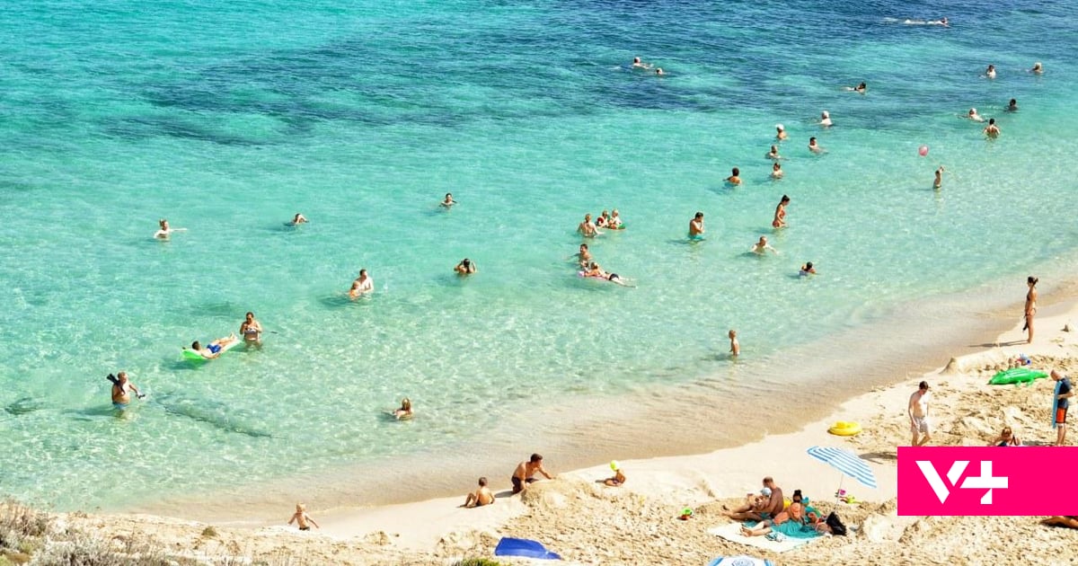 Alerta em praia de Maiorca depois de ataque no mar a turista. Praia teve de ser evacuada