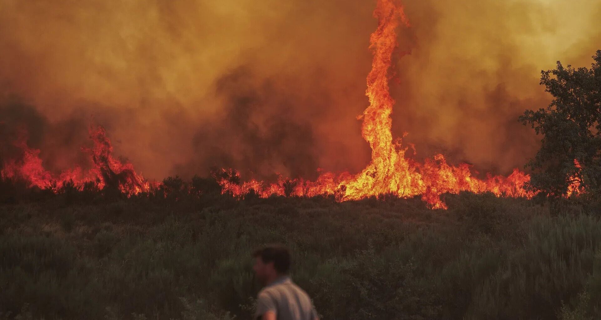 O que é o raro tornado de fogo que se ergueu no meio das chamas em Moimenta da Beira?