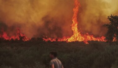O que é o raro tornado de fogo que se ergueu no meio das chamas em Moimenta da Beira?
