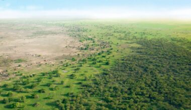 A "Muralha Verde" da China ia ser a solução para a desertificação. Criou um problema maior