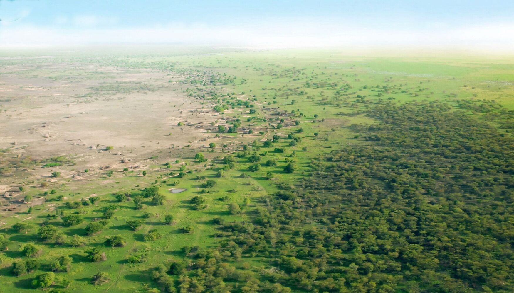 A "Muralha Verde" da China ia ser a solução para a desertificação. Criou um problema maior