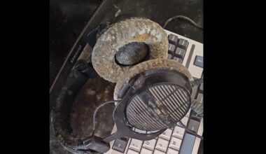 jogador de PC volta para casa após um mês e descobre que todo o seu equipamento foi infectad