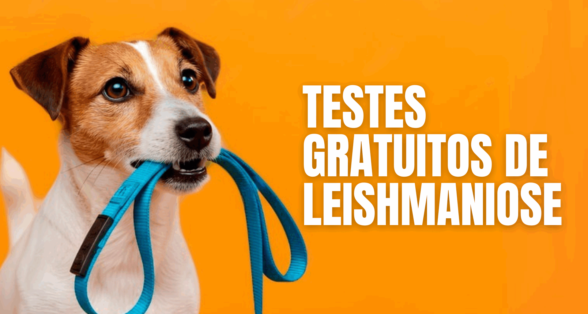 Prefeitura de Barra do Garças realiza testes rápidos de leishmaniose nesta sexta-feira (08)