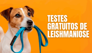 Prefeitura de Barra do Garças realiza testes rápidos de leishmaniose nesta sexta-feira (08)