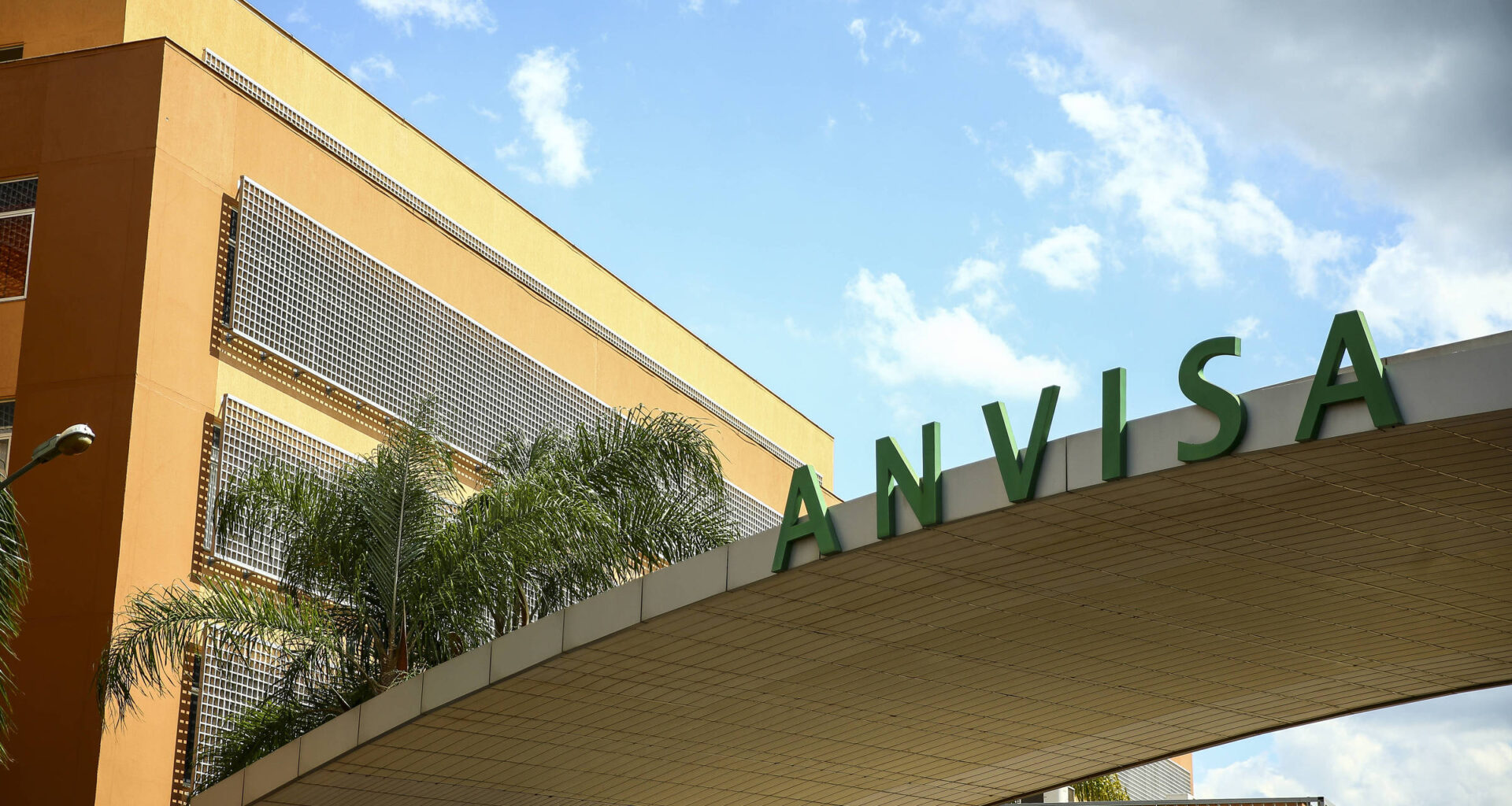 Anvisa aprova remédio oral para câncer no cérebro - 14/08/2025 - Equilíbrio e Saúde