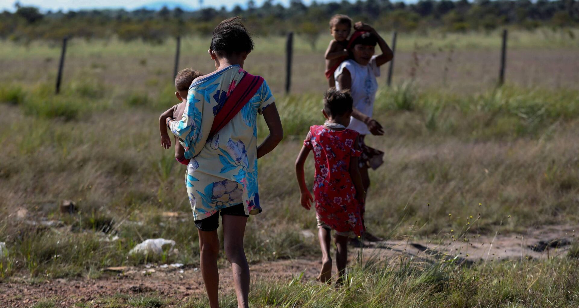 Risco de malária na amazônia é maior com degradação - 26/08/2025 - Ambiente