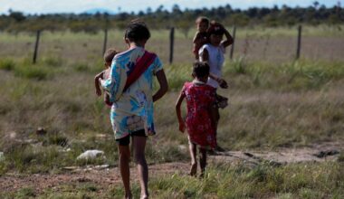 Risco de malária na amazônia é maior com degradação - 26/08/2025 - Ambiente