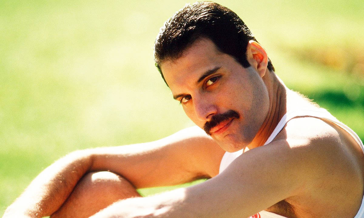 Filha secreta de Freddie Mercury se pronuncia pela 1ª vez - 09/08/2025 - Celebridades