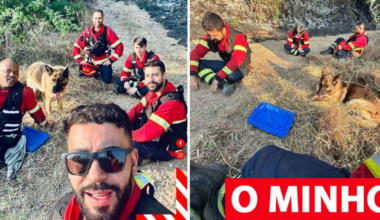 Bombeiros da Trofa salvaram cão cercado por incêndio (e ele nunca mais os largou)