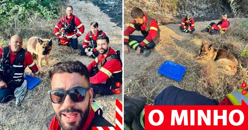 Bombeiros da Trofa salvaram cão cercado por incêndio (e ele nunca mais os largou)