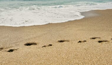 Cascais: Homem agredido na praia após suposta importunação sexual