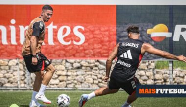 Benfica: Ivanovic em estreia nos treinos na preparação para a Champions