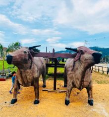Pedras Grandes inaugura monumento que busca ser o carro de boi mais pesado do mundo