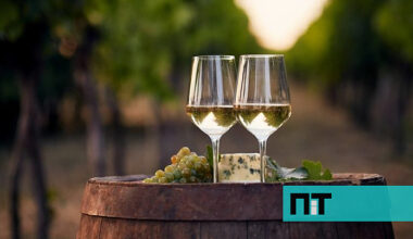 Este vinho premiado é a escolha certa para os dias quentes de verão e custa menos de 4€ — NiT
