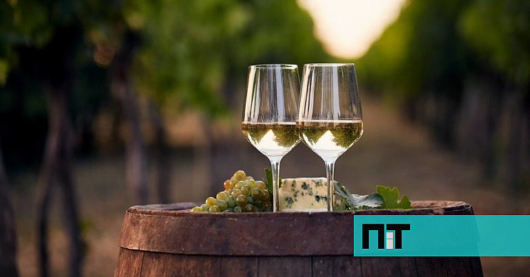 Este vinho premiado é a escolha certa para os dias quentes de verão e custa menos de 4€ — NiT