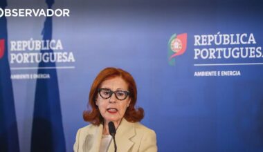 Apoio à substituição de fogões a gás arranca em setembro – Observador