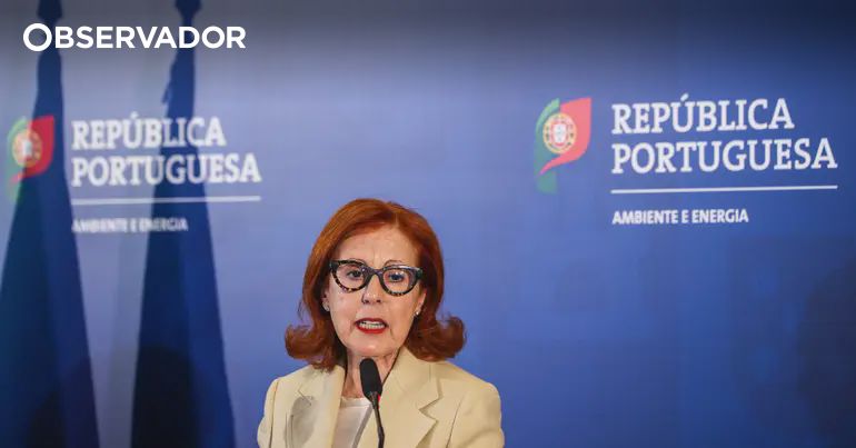 Apoio à substituição de fogões a gás arranca em setembro – Observador
