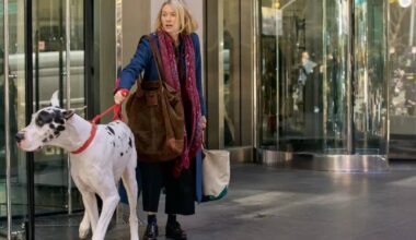 Naomi Watts e 'Premonição 6': o que ver nesta quarta - 05/08/2025 - Ilustrada