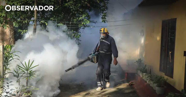China aplica medidas de combate ao surto de chikunguny – Observador