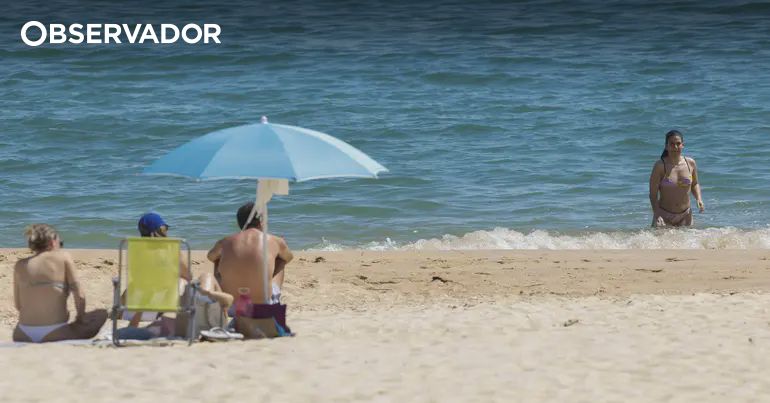 Como fica contaminada a água do mar? 5 perguntas e respostas – Observador