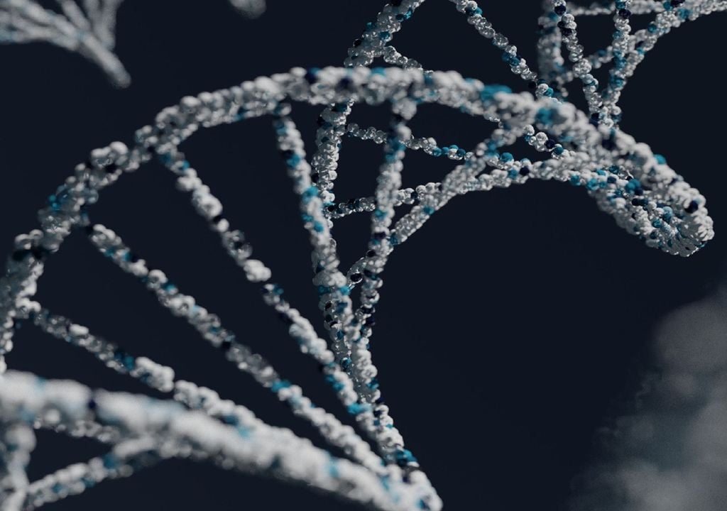 DNA humano