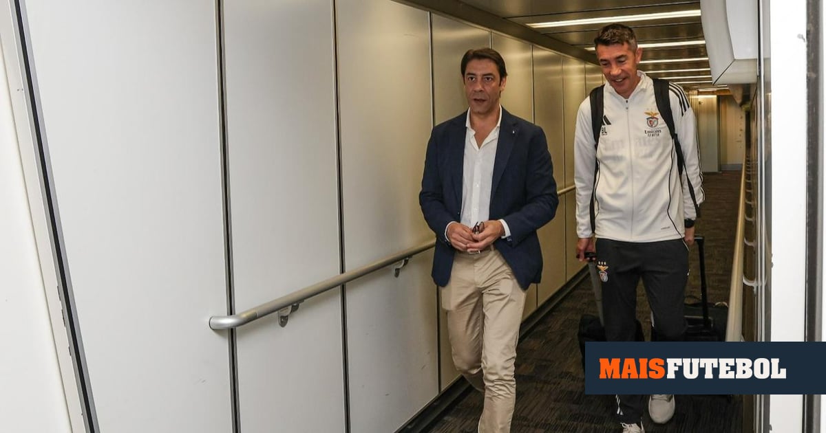 Benfica responde a queixa do Sporting: «É, no mínimo, ridículo»