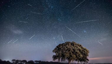 Olhe para o céu e sorria com as Lágrimas de São Lourenço: peça um desejo às Perseidas, a mais aguardada chuva de meteoros do ano